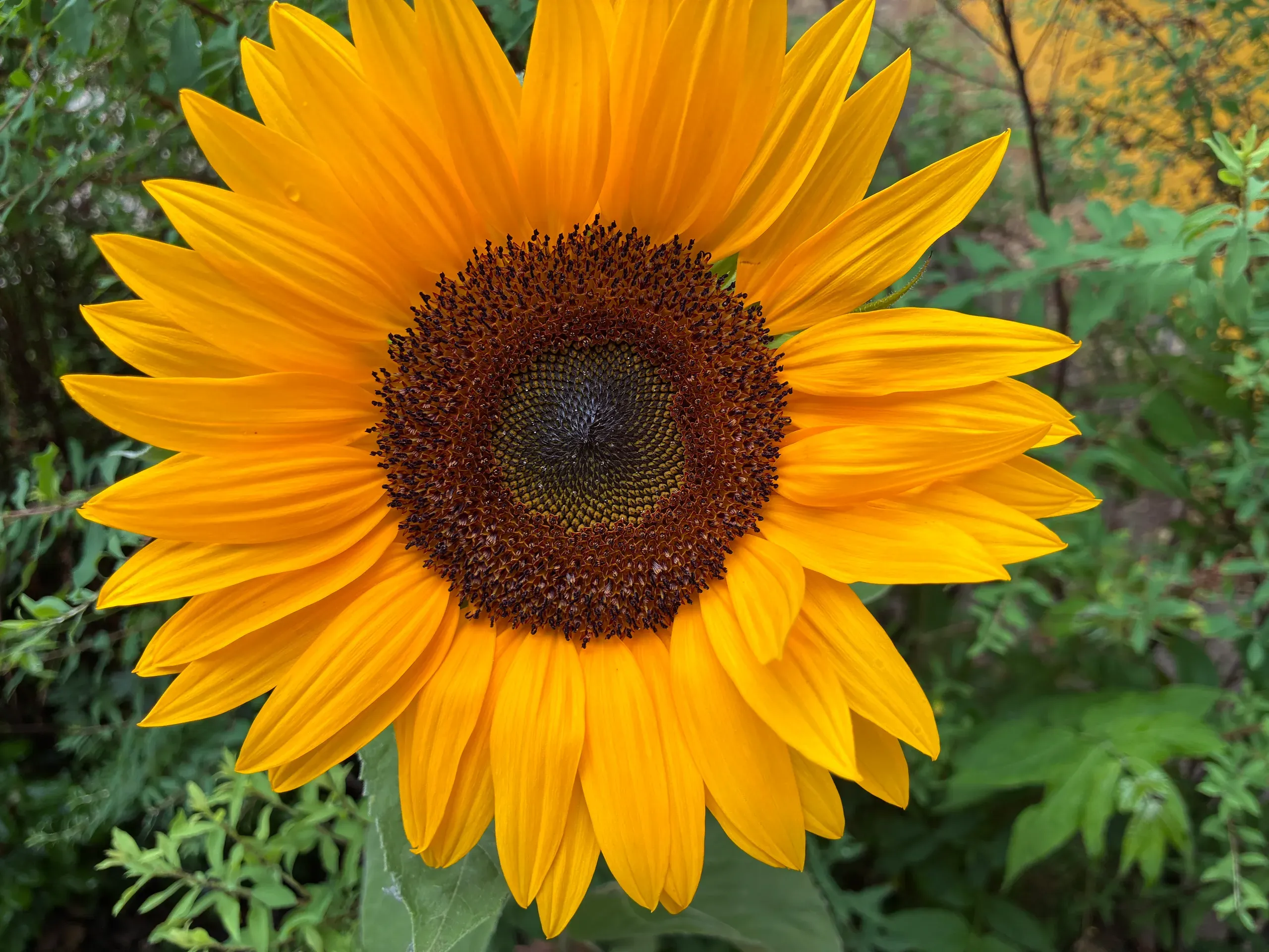 2026-07-01 - Sommerferien